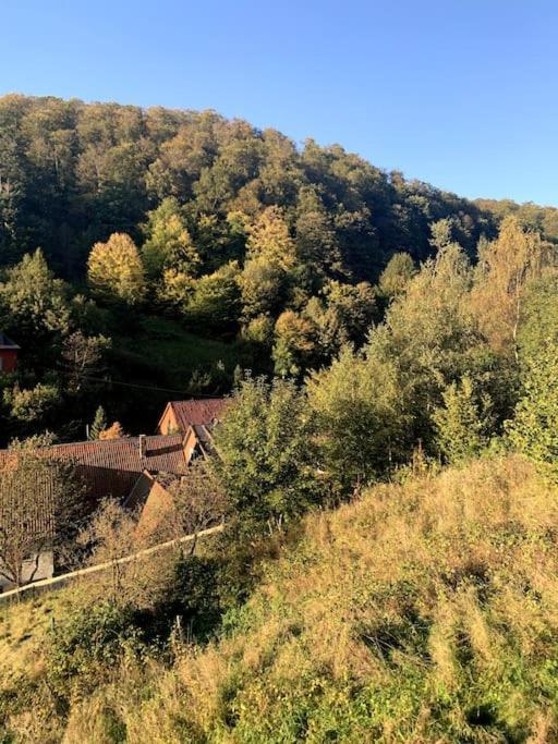Ferienwohnung Am Hang Mit Malerischer Aussicht Osterode am Harz 外观 照片
